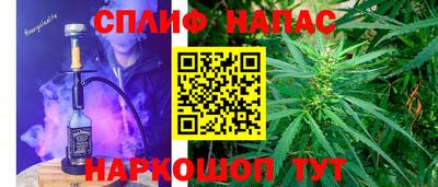 крисы Сланцы