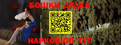 крисы Сланцы